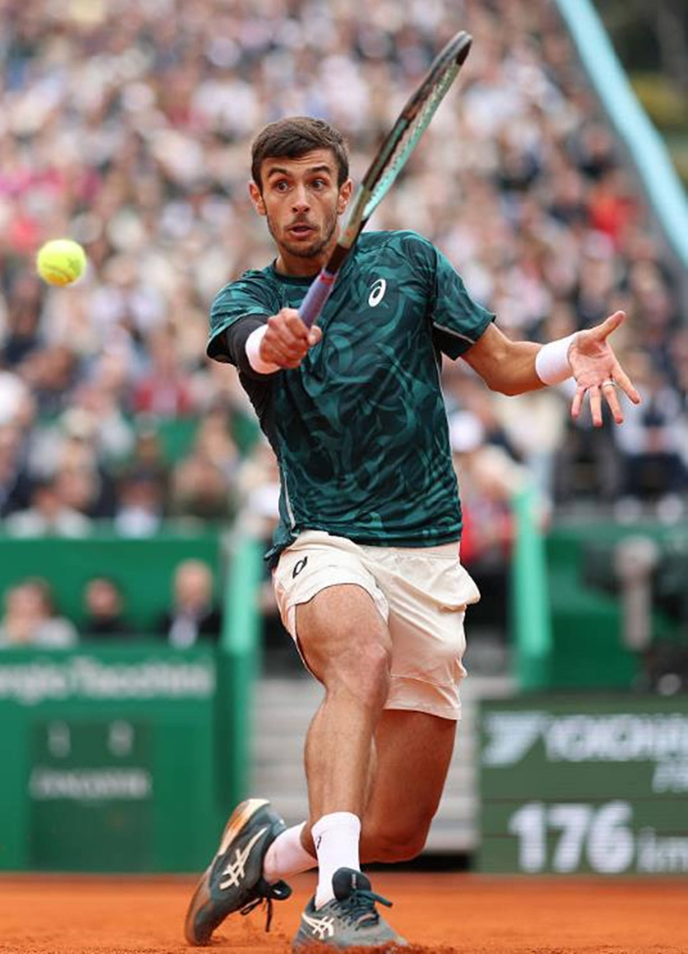 稀缺地段 稀缺地段