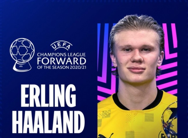 期决策与团 期决策与团